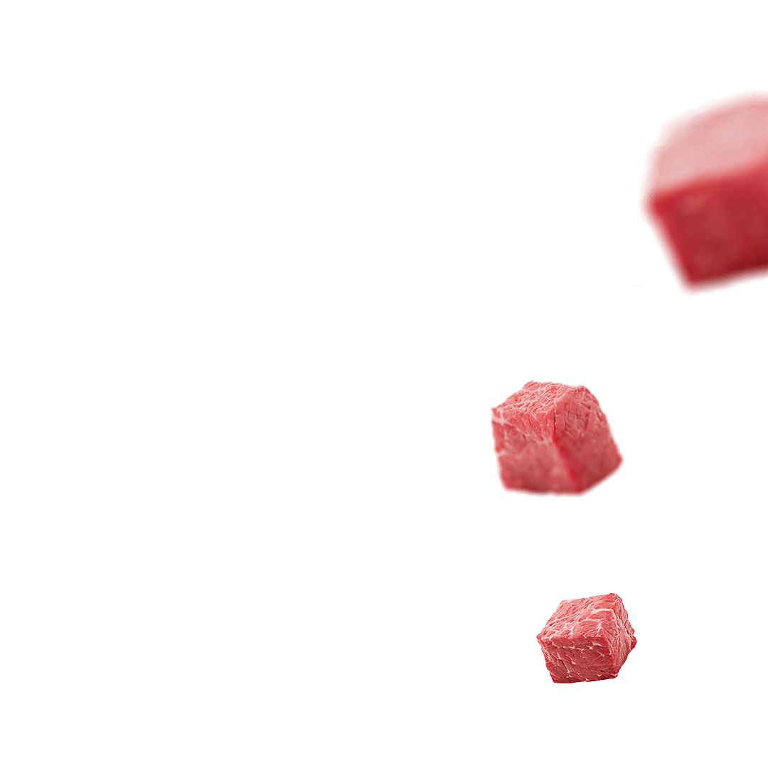 meat background
