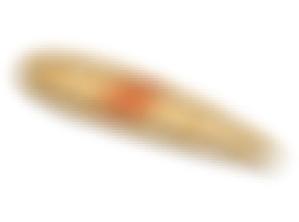 supina 2