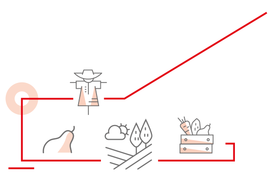 Kaufland wall vector